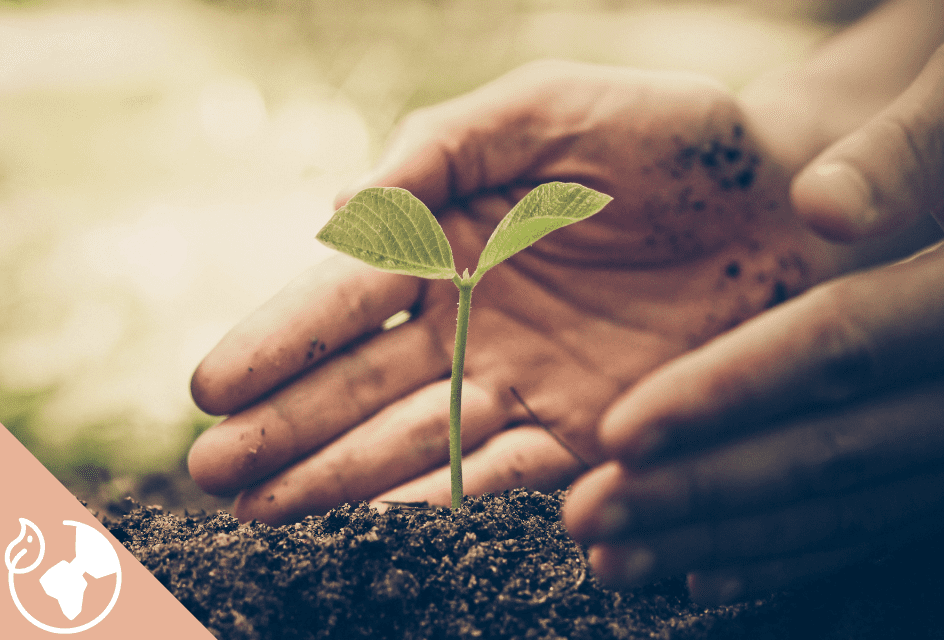 nature, éco-responsables, terre, écologie