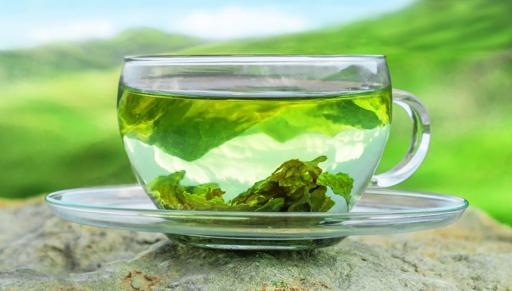Thé 1 Thé vert, infusion, tisane, rooibos, relaxation, bien être, santé